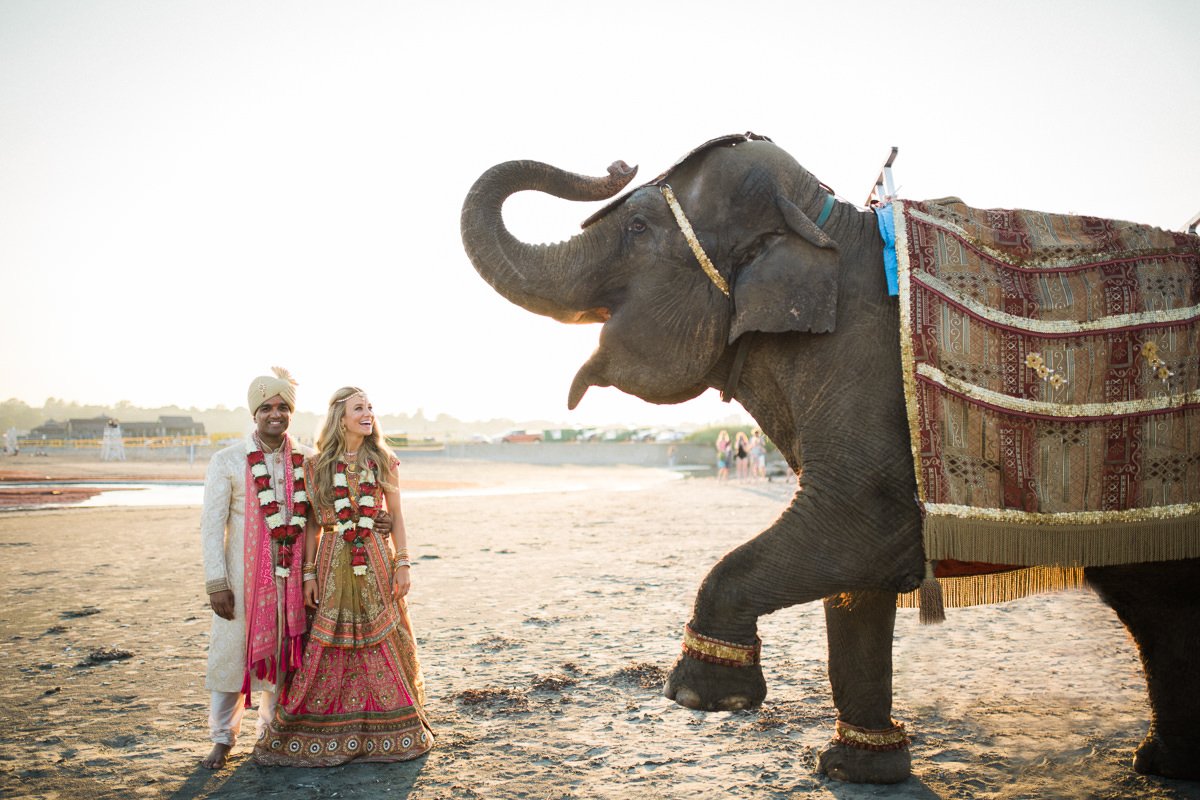 Indian Wedding with Elephant